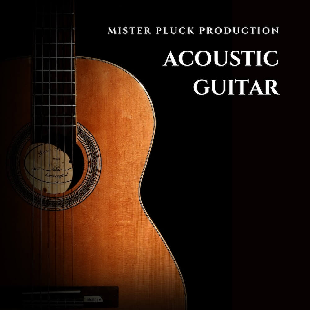 Acoustic Guitar