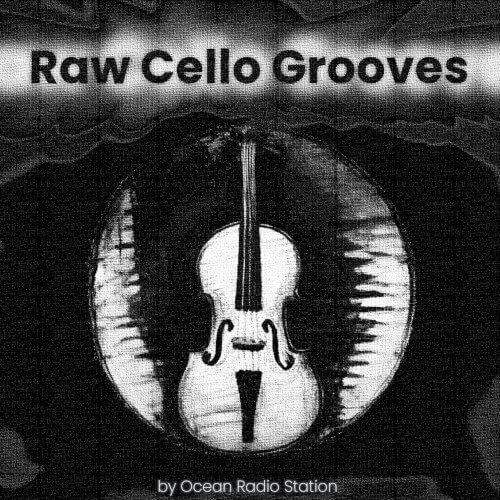 Raw Cello Grooves